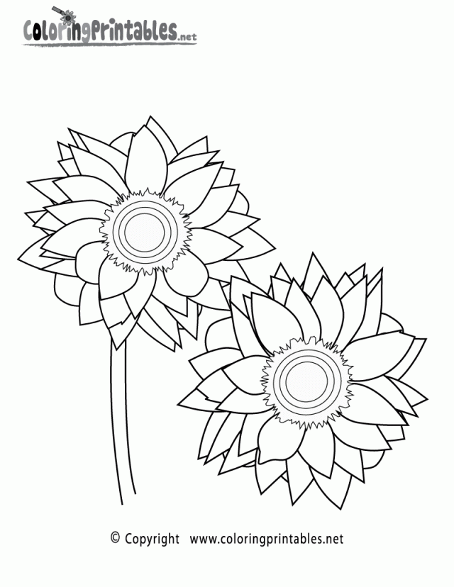 Plansa de colorat cu Floarea Soarelui 21 14
